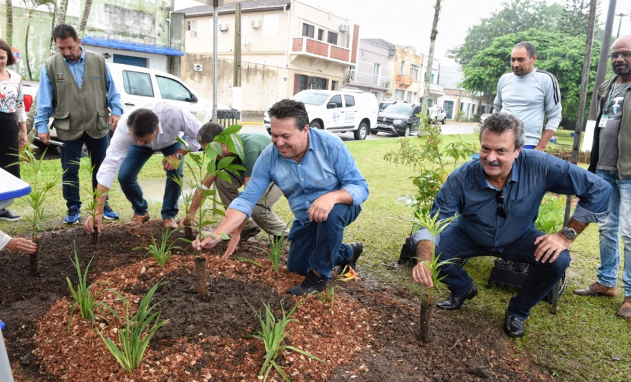 O Governo do Estado, por meio da Secretaria de Desenvolvimento Sustentável e Turismo, realizou neste final de semana (23-24) soltura de peixes, plantio de árvores e atividades de educação ambiental em Campo Mourão, Formosa do Oeste, Quarto Centenário, Alto Paraíso / Porto Figueira.  -  Curitiba, 25/03/2019  -  Foto: Dênis Ferreira Netto/Desenvolvimento Sustentável