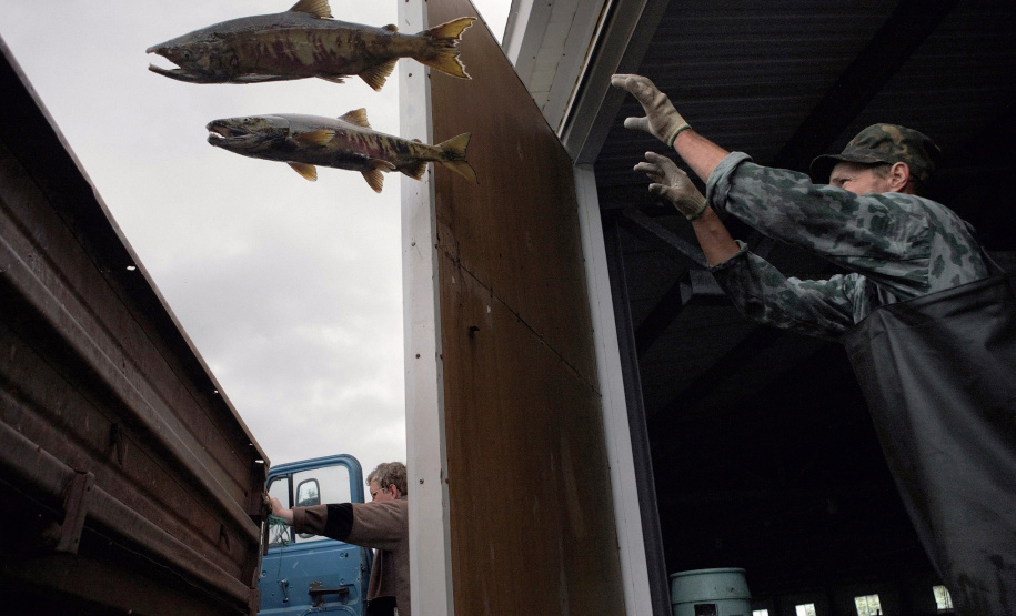 Fica disponível até este domingo (31) a exposição de fotografias com imagens da Rússia contemporânea. - Foto: Serguey Maksimishin
