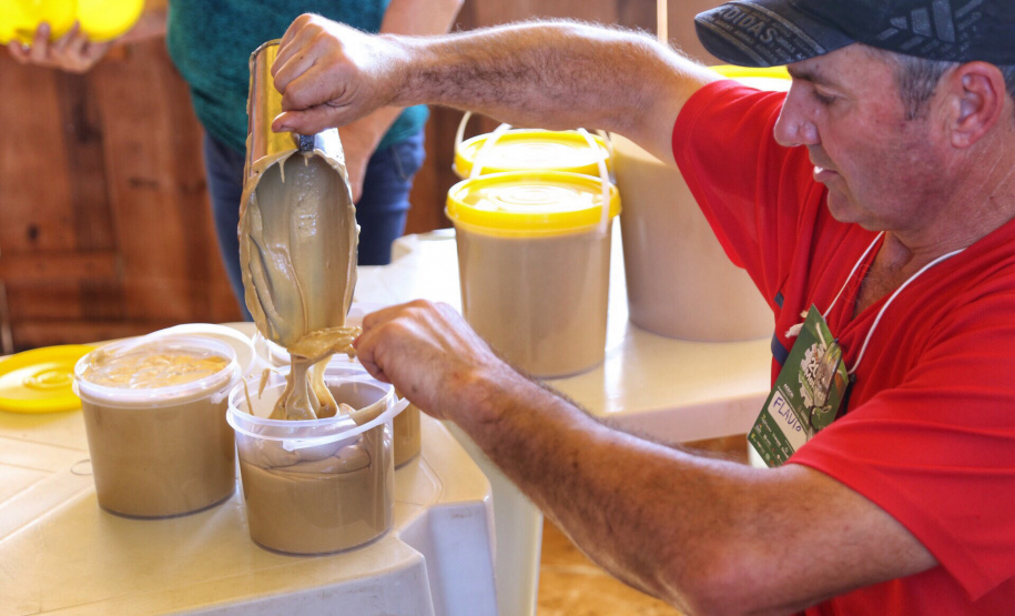 Feira do melado em Capanema. Foto: José Fernando Ogura/ANPr