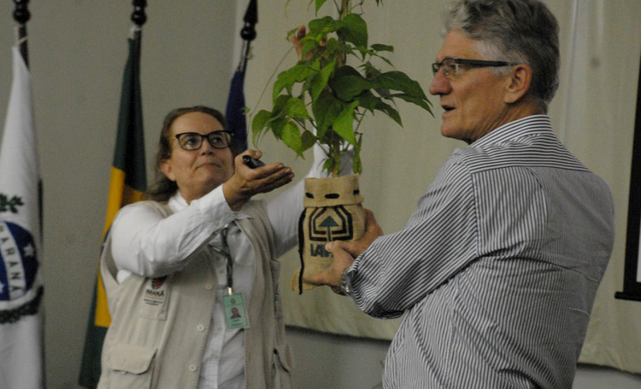 O secretário estadual da Agricultura e do Abastecimento, Norberto Ortigara, participou nesta quinta-feira (28) em Ponta Grossa do lançamento da cultivar de feijão-preto IPR Urutau, elaborada pelo Instituto Agronômico do Paraná (Iapar). - Ponta Grossa, 28/03/2019 - Foto: Edino Ferreira da Silva/ Iapar