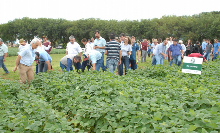 O secretário estadual da Agricultura e do Abastecimento, Norberto Ortigara, participou nesta quinta-feira (28) em Ponta Grossa do lançamento da cultivar de feijão-preto IPR Urutau, elaborada pelo Instituto Agronômico do Paraná (Iapar). - Ponta Grossa, 28/03/2019 - Foto: Edino Ferreira da Silva/ Iapar
