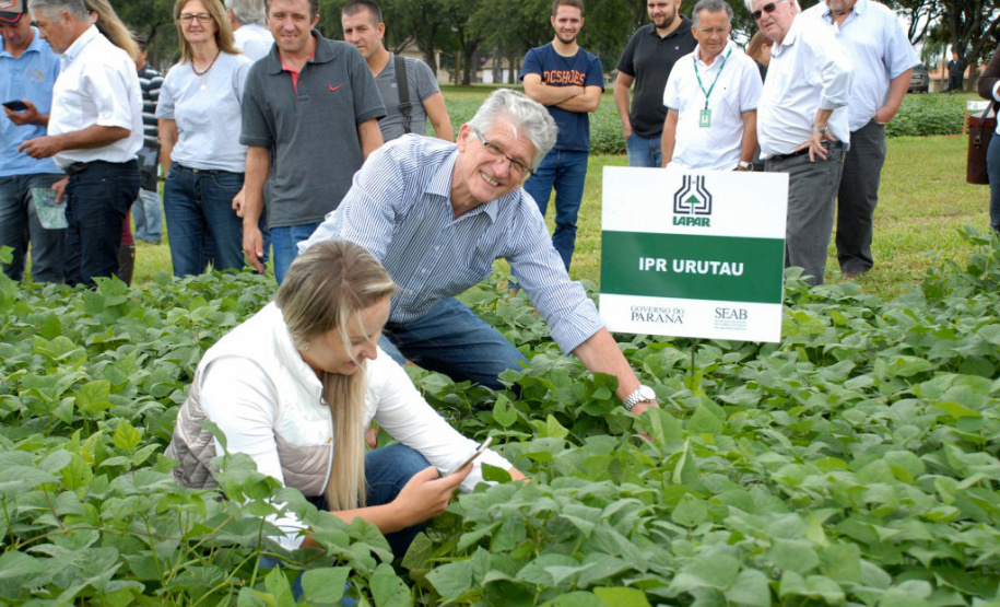 O secretário estadual da Agricultura e do Abastecimento, Norberto Ortigara, participou nesta quinta-feira (28) em Ponta Grossa do lançamento da cultivar de feijão-preto IPR Urutau, elaborada pelo Instituto Agronômico do Paraná (Iapar). - Ponta Grossa, 28/03/2019 - Foto: Edino Ferreira da Silva/ Iapar