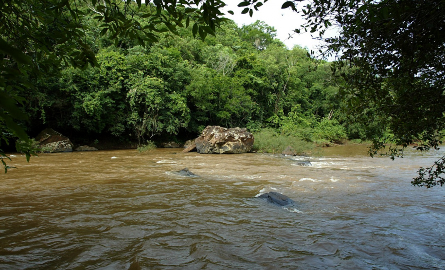 O Instituto Ambiental do Paraná (IAP), por meio da portaria nº 52/2019, libera a pesca comercial e amadora no Rio Piquiri a partir de amanhã (30). A pesca estava proibida desde o dia 20 de fevereiro como medida de precaução e prevenção em razão da mortandade de peixes. -  Curitiba, 29/03/2019  -  Foto: Dênis Ferreira Netto/Desenvolvimento Sustentável
