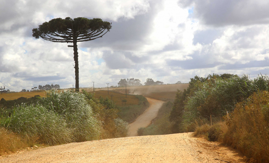 Governador Carlos Massa Ratinho Junior autoriza o início das obras de pavimentação de 9 quilômetros da estrada do Socavão, em Castro. Foto: Jaelson Lucas/ANPr