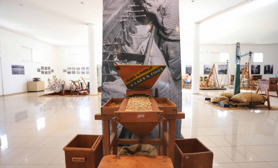 Assaí. Foto: José Fernando Ogura/ANPr