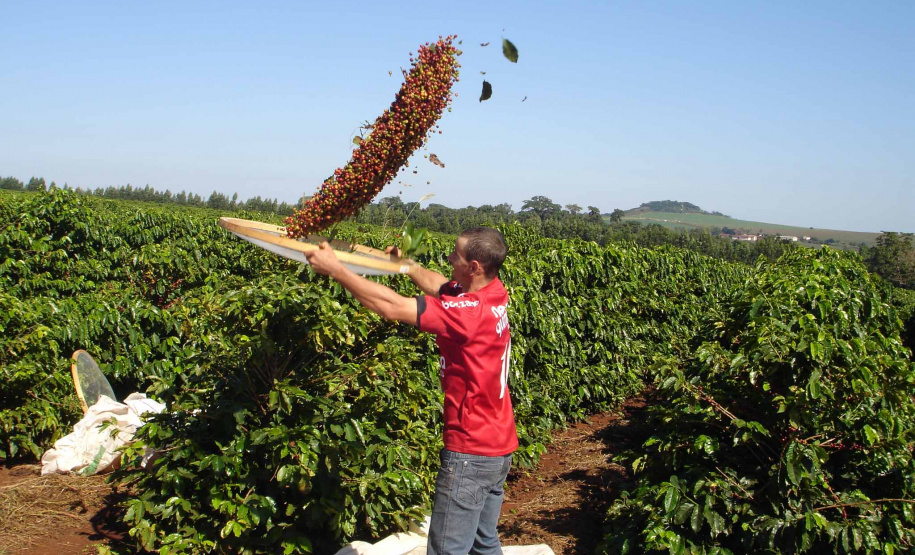 Fazenda Palmeira, em Santa Mariana. Foto: Divulgação/Rota do Café