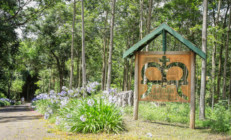 Fazenda Monte Bello, em Ribeirão Claro. Foto: Divulgação/Rota do Café