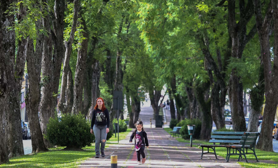 Lapa. Foto: José Fernando Ogura/ANPr