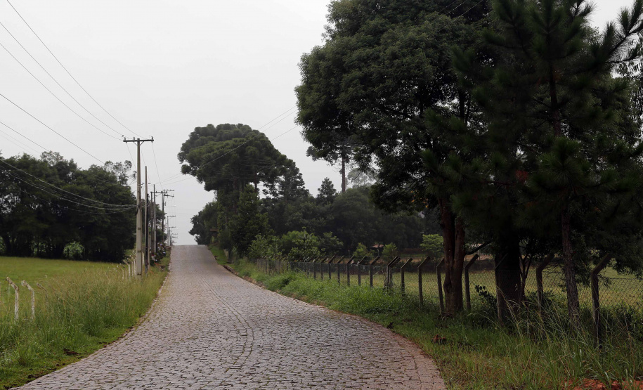 Rota do Vinho - Colonia MerglhãoGilson Abreu/ANPr