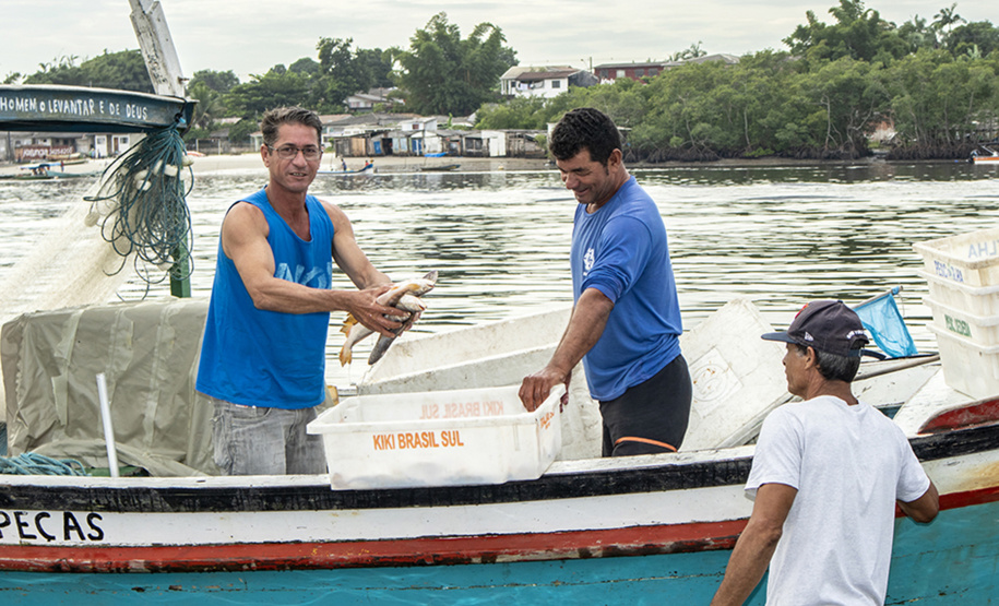 Os Portos do Paraná realizam, a partir da próxima semana, seminários sobre a atividade pesqueira na região de Paranaguá, Pontal do Sul, Antonina e Guaraqueçaba. Pela primeira vez, a administração portuária vai disponibilizar os resultados de quatro anos de monitoramento da pesca e debater com os pescadores sobre impactos, rendimento e variações no número de peixes.   -  Paranaguá, 05/04/2019  -  Foto: Claudio Neves/ Portos do Paraná
