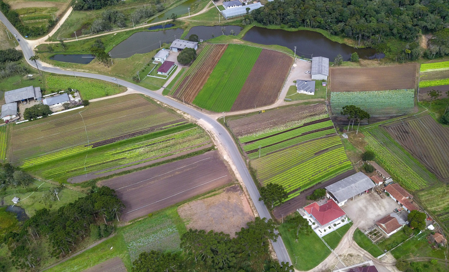 O produtor Bruno Schules, 32, de São José dos Pinhais, na Região Metropolitana de Curitiba (RMC), é um dos agricultores que trabalham com olericultura no Estado e recebem atendimento da Emater.  -  São José dos Pinhais, 04/04/2019  -  Foto: José Fernando Ogura/ANPr