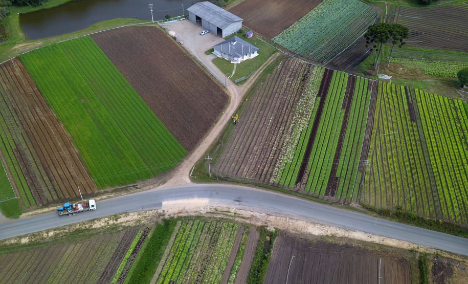 O produtor Bruno Schules, 32, de São José dos Pinhais, na Região Metropolitana de Curitiba (RMC), é um dos agricultores que trabalham com olericultura no Estado e recebem atendimento da Emater.  -  São José dos Pinhais, 04/04/2019  -  Foto: José Fernando Ogura/ANPr