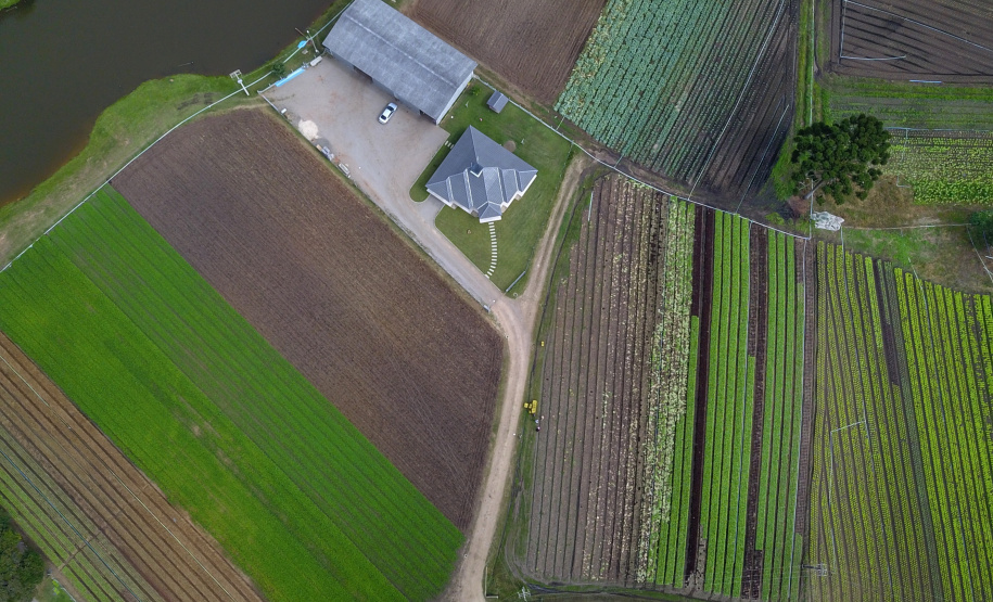 O produtor Bruno Schules, 32, de São José dos Pinhais, na Região Metropolitana de Curitiba (RMC), é um dos agricultores que trabalham com olericultura no Estado e recebem atendimento da Emater.  -  São José dos Pinhais, 04/04/2019  -  Foto: José Fernando Ogura/ANPr