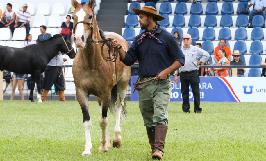 Expolondrina  -  Foto: Divulgação Expolondrina