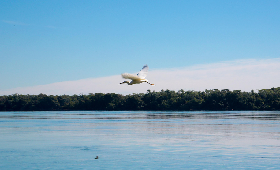 Rio Paraná. Porto Rico, Noroeste - 07/06/2018 Foto:Jaelson Lucas / ANPr