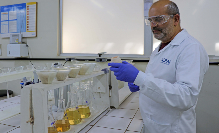 A sustentabilidade da produção de alimentos depende da manutenção e da melhoria da capacidade produtiva do solo