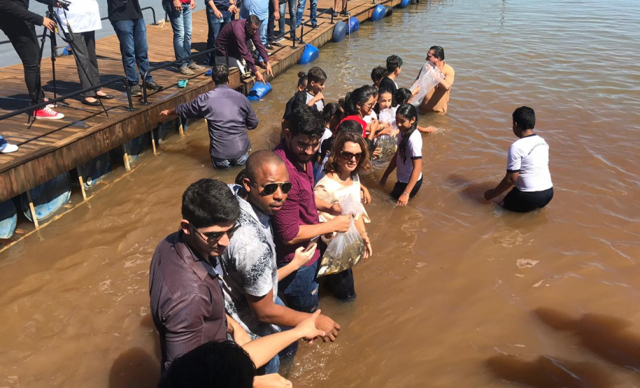 A Secretaria do Desenvolvimento Sustentável e Turismo promoveu nesta semana diversas ações em Londrina, Sertaneja e Centenário do Sul. Houve o plantio de árvores e soltura de peixes, além da Tenda da Sustentabilidade com exposição didática para as crianças e distribuição de materiais de educação ambiental. As ações fazem parte do Programa Educação Ambiental para Bacias Hidrográficas. - Londrina, 11/-4/2019 - Foto: Dênis Ferreira Netto/SEDEST