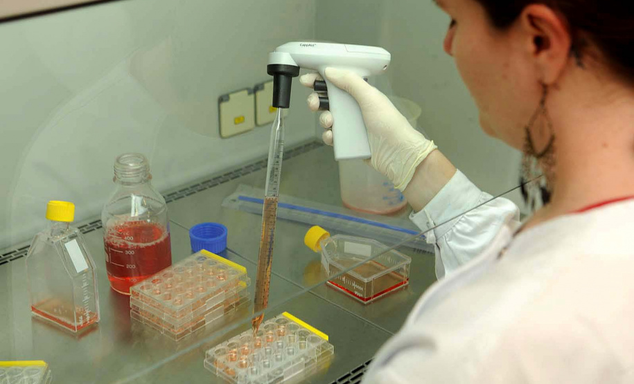 Entre as metas elencadas pelo diretor-presidente está a ampliação da capacidade produtiva da vacina antrirrábica. Foto: Tecpar