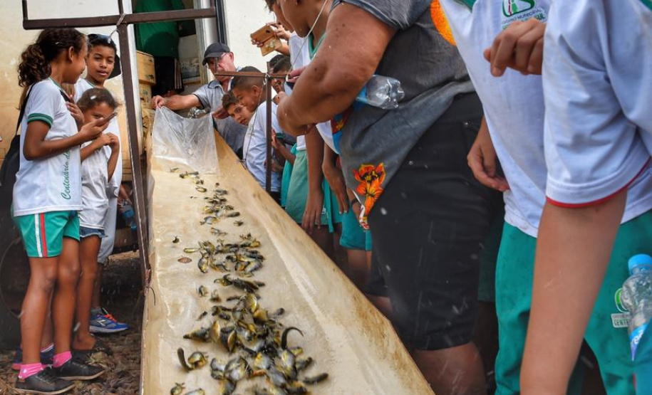 Nos primeiros 100 dias desta gestão, a Secretaria de Estado do Desenvolvimento Sustentável e Turismo conquistou importantes resultados nas áreas de educação ambiental, conscientização e preservação ambiental, além efetivar medidas voltadas à reforma administrativa e agilidade dos processos. Foto: Denis Ferreira Netto/SEDEST