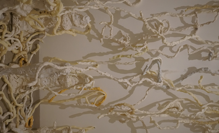 OFERENDA - GUITA SOIFER - A artista paranaense Guita Soifer apresenta instalação inédita na exposição Oferendas, que expressa a memória da perda, do que acabou. São os registros de um local que cedeu e que agora é ocupado pela natureza voraz, que preenche o espaço da falta do que um dia já foi um grande episódio.Início: 30 de marçoTérmino: 04 de agosto  -  Foto: Divulgação MON