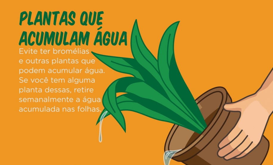 A Secretaria da Saúde do Paraná lançou nesta terça-feira (23) uma campanha digital com orientações sobre medidas preventivas para o combate à dengue. O mote é Faça a sua parte na luta contra a dengue. Foto:SESA