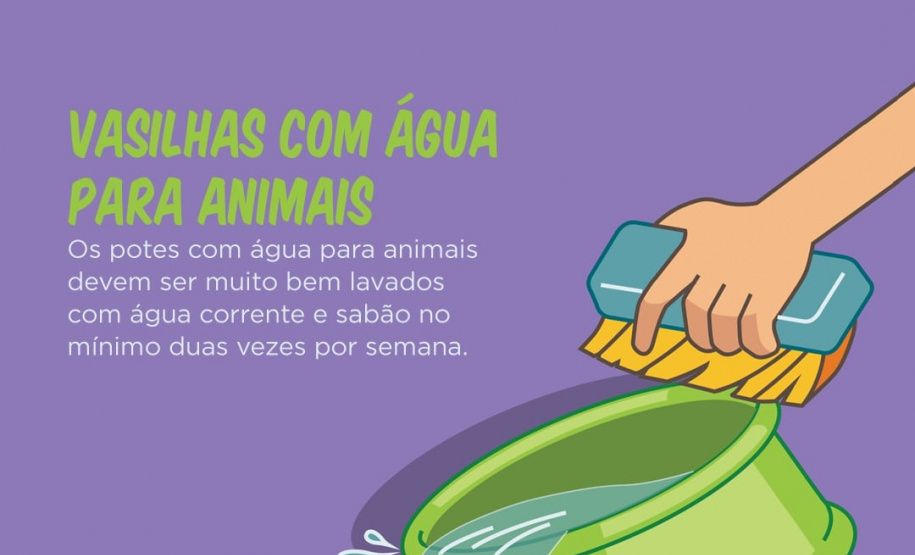A Secretaria da Saúde do Paraná lançou nesta terça-feira (23) uma campanha digital com orientações sobre medidas preventivas para o combate à dengue. O mote é Faça a sua parte na luta contra a dengue. Foto:SESA