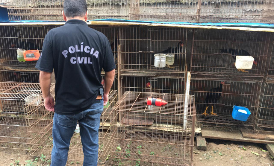 A Delegacia de Proteção ao Meio Ambiente (DPMA) da Polícia Civil do Paraná apreendeu 250 animais silvestres ou em situação de maus tratos em Curitiba e região no primeiro trimestre deste ano. Foto: Polícia Civil