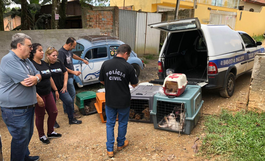 A Delegacia de Proteção ao Meio Ambiente (DPMA) da Polícia Civil do Paraná apreendeu 250 animais silvestres ou em situação de maus tratos em Curitiba e região no primeiro trimestre deste ano. Foto: Polícia Civil