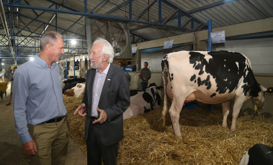 Governador em exercício Darci Piana participa da 14ª ExpoFrísia, em Carambeí, nos Campos Gerais  -  Carambeí, 25/04/2019  -  Foto: Gilson Abreu/ANPr