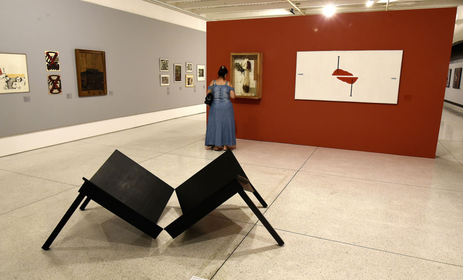 Ana Rocha, diretora do Museu de Arte Contemporânea do Paraná(MAC/PR).Curitiba, 19 de fevereiro de 2019.Foto: Kraw Penas/SEEC