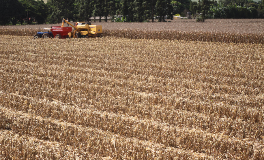 Relatório mensal do Departamento de Economia Rural (Deral) da Secretaria de Estado da Agricultura e do Abastecimento mostra que a estimativa de produção da safra de grãos 2018/2019 deve ser de 37,3 milhões de toneladas, 5% maior do que no ano passado e também superior à estimativa anterior, de 37,1 milhões. Na safra anterior, a produção foi de 35,4 milhões.  -  Foto: Jonas Oliveira/Arquivo ANPr