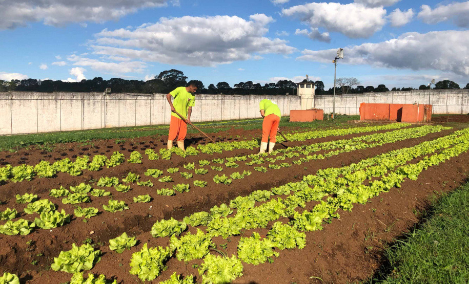 O Paraná atingiu em março a marca de 47,72% dos presos fazendo algum tipo de atividade educacional, segundo o Departamento Penitenciário (Depen-PR). O índice é consideravelmente superior a fevereiro, quando o Estado fechou com 36,3% e alcançou o segundo lugar entre as unidades da federação, perdendo apenas para o Piauí (40%). Foto:José Fernando Ogura/ANPr