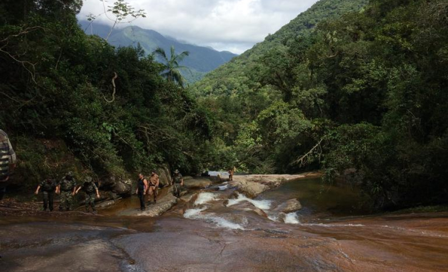 A Secretaria de Desenvolvimento Sustentável e Turismo e as equipes do Batalhão de Polícia Ambiental Força Verde aplicaram 930 autos de infração ambiental em 2019, em 190 municípios do Paraná, por desmatamento irregular (51%), posse ilegal ou maus tratos a animais (18%), efluentes industriais (17%) e pesca fora dos lugares permitidos por lei (5%). Cerca de 90% foi registrado pela polícia, o que resultou em mais de R$ 5 milhões em multas. Foto:Policia Ambiental