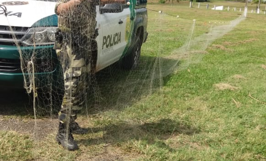 A Secretaria de Desenvolvimento Sustentável e Turismo e as equipes do Batalhão de Polícia Ambiental Força Verde aplicaram 930 autos de infração ambiental em 2019, em 190 municípios do Paraná, por desmatamento irregular (51%), posse ilegal ou maus tratos a animais (18%), efluentes industriais (17%) e pesca fora dos lugares permitidos por lei (5%). Cerca de 90% foi registrado pela polícia, o que resultou em mais de R$ 5 milhões em multas. Foto:Policia Ambiental