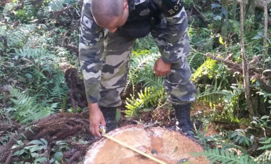 A Secretaria de Desenvolvimento Sustentável e Turismo e as equipes do Batalhão de Polícia Ambiental Força Verde aplicaram 930 autos de infração ambiental em 2019, em 190 municípios do Paraná, por desmatamento irregular (51%), posse ilegal ou maus tratos a animais (18%), efluentes industriais (17%) e pesca fora dos lugares permitidos por lei (5%). Cerca de 90% foi registrado pela polícia, o que resultou em mais de R$ 5 milhões em multas. Foto:Policia Ambiental