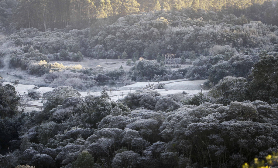 Entra em operação nesta quinta-feira (9) o Alerta Geada, serviço que o Instituto Agronômico do Paraná (Iapar) e o Sistema Meteorológico do Paraná (Simepar) oferecem de maio a setembro com o objetivo de auxiliar os produtores a implantar medidas de proteção dos cafezais paranaenses. É o 25º ano de operação do serviço, que agora também pode ser acessado pelo aplicativo para celulares IAPAR Clima.
Foto: Orlando Kissner/Arquivo - ANPr