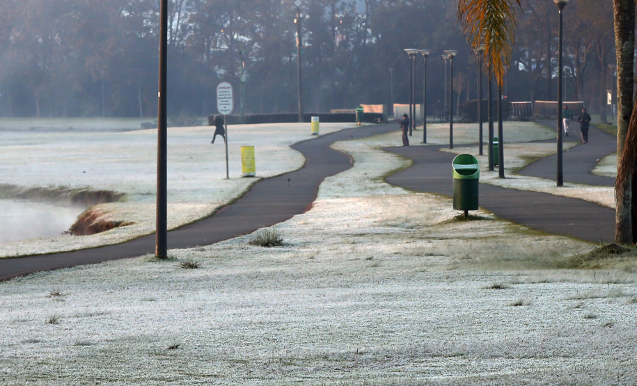 Entra em operação nesta quinta-feira (9) o Alerta Geada, serviço que o Instituto Agronômico do Paraná (Iapar) e o Sistema Meteorológico do Paraná (Simepar) oferecem de maio a setembro com o objetivo de auxiliar os produtores a implantar medidas de proteção dos cafezais paranaenses. É o 25º ano de operação do serviço, que agora também pode ser acessado pelo aplicativo para celulares IAPAR Clima.
Foto: Orlando Kissner/Arquivo - ANPr