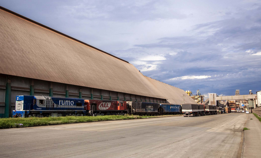 Foto: Claudio Neves/APPA