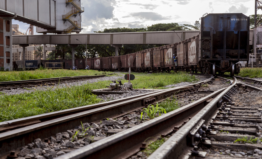 Foto: Claudio Neves/APPA