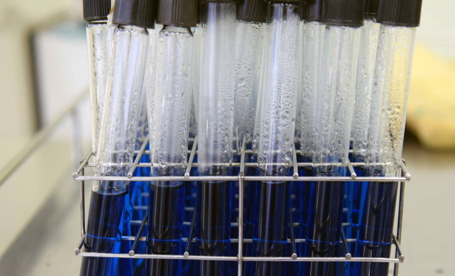 Marco de excelência nos serviços de saúde no Paraná, o Laboratório Central do Estado do Paraná (Lacen) se tornou também referência nacional para determinados exames, como os de resistência microbiana. Foto: Antonio Américo/SESA - 13/05/2019
