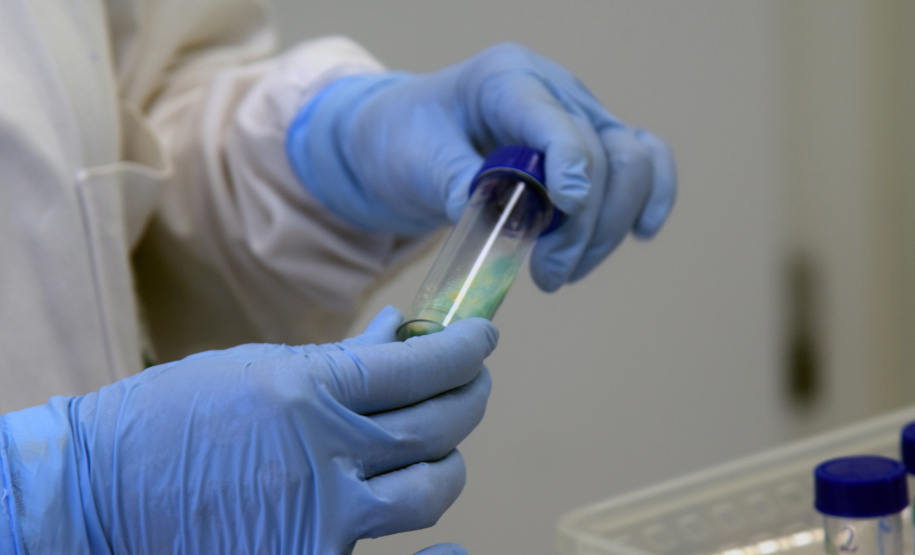 Marco de excelência nos serviços de saúde no Paraná, o Laboratório Central do Estado do Paraná (Lacen) se tornou também referência nacional para determinados exames, como os de resistência microbiana.  Foto: Antonio Américo/SESA - 13/05/2019