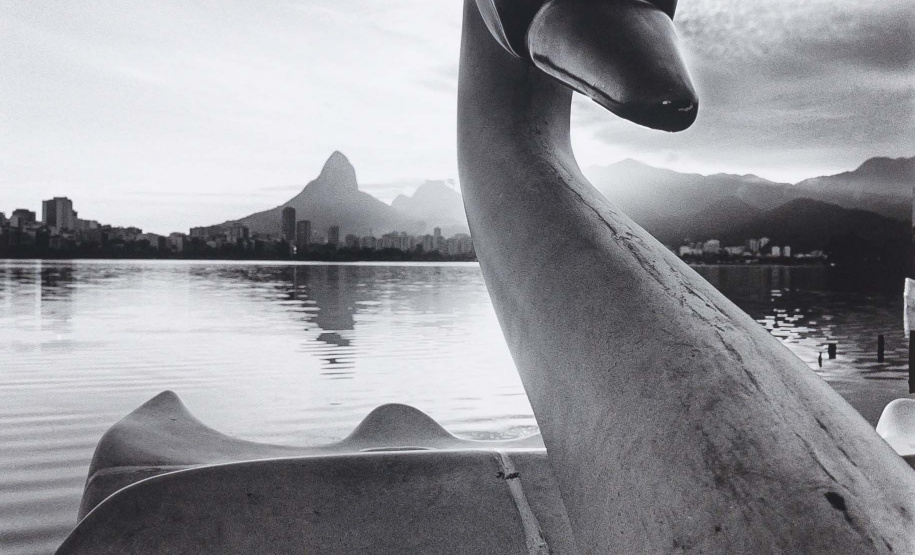 A mostra “Com Título e Sem Título, Técnicas e Dimensões Variadas – Museu Oscar Niemeyer, Aquisições e Doações Recentes” será inaugurada na quinta-feira (16). São 54 obras, entre esculturas, instalações, gravuras, pinturas e fotografias de artistas paranaenses, nacionais e internacionais. A exposição fica em cartaz até 18 de agosto.Foto:Reprodução - Marcelo Kawase/MON