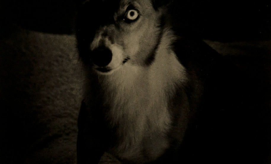 A mostra “Com Título e Sem Título, Técnicas e Dimensões Variadas – Museu Oscar Niemeyer, Aquisições e Doações Recentes” será inaugurada na quinta-feira (16). São 54 obras, entre esculturas, instalações, gravuras, pinturas e fotografias de artistas paranaenses, nacionais e internacionais. A exposição fica em cartaz até 18 de agostoFoto:Reprodução - Marcelo Kawase/MON