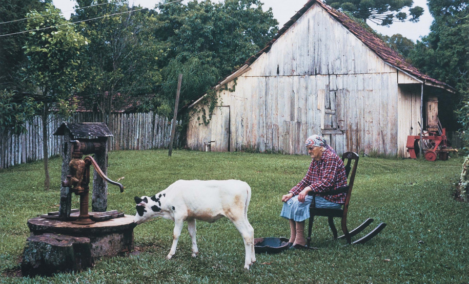 A mostra “Com Título e Sem Título, Técnicas e Dimensões Variadas – Museu Oscar Niemeyer, Aquisições e Doações Recentes” será inaugurada na quinta-feira (16). São 54 obras, entre esculturas, instalações, gravuras, pinturas e fotografias de artistas paranaenses, nacionais e internacionais. A exposição fica em cartaz até 18 de agosto. Foto:Reprodução - Marcelo Kawase/MON
