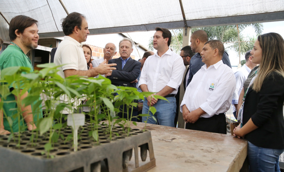O governador Carlos Massa Ratinho Junior esteve nesta quinta-feira (17) na Apae de Maringá para conhecer as instalações e as atividades desenvolvidas no local. Acompanhado do secretário de Estado da Educação, Renato Feder, e do presidente da Federação das APAEs do do Paraná, Fernando Meneguetti, Ratinho Junior conheceu os projetos que atendem, mensalmente, 1.068 pessoas com deficiência.. Foto: José Fernando Ogura/ANPr
