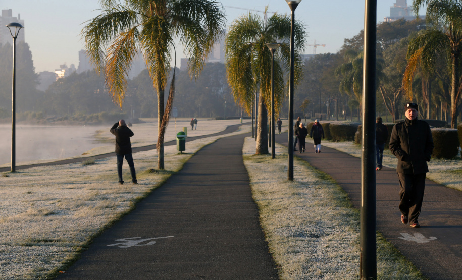 Mosquito da febre amarela não morre com queda das temperaturas. Foto: Orlando Kissner/Arquivo - ANPr