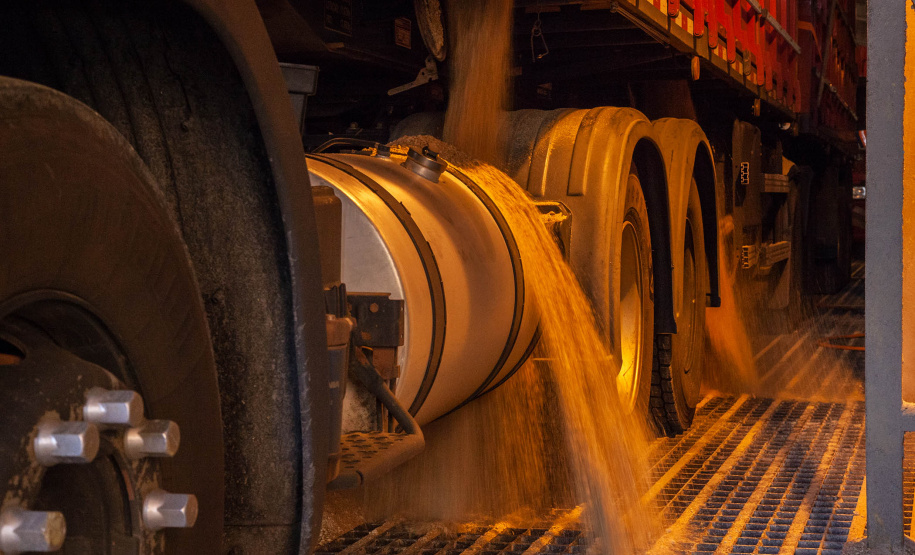 19% das exportações da soja brasileira passa pelos Portos do Paraná. Foto: Claudio Neves/APPA