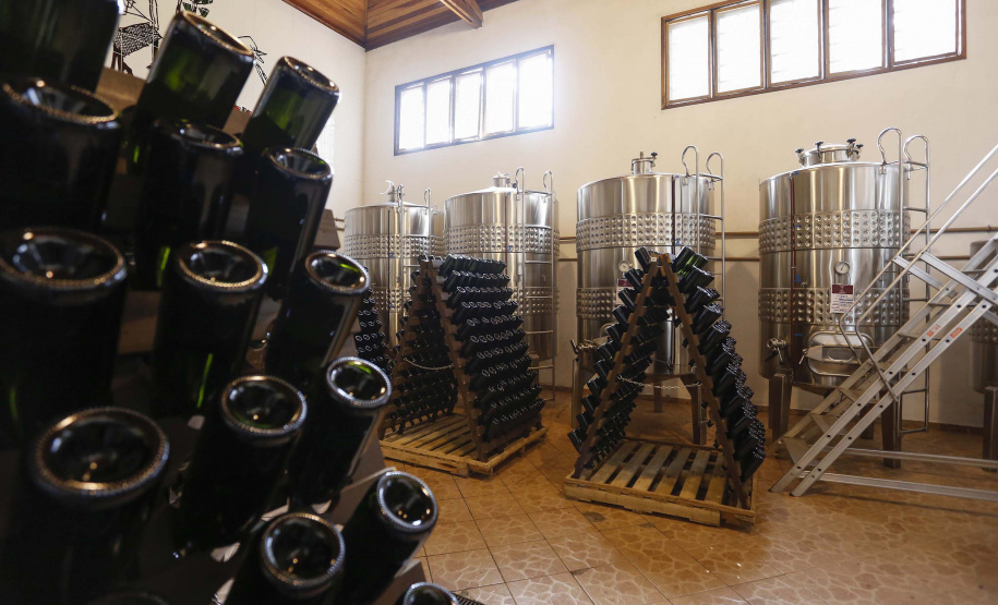 Vinícula Araucária, em São José dos Pinhais.São José dos Pinhais, 26-04-19.Foro: Arnaldo Alves / ANPr.