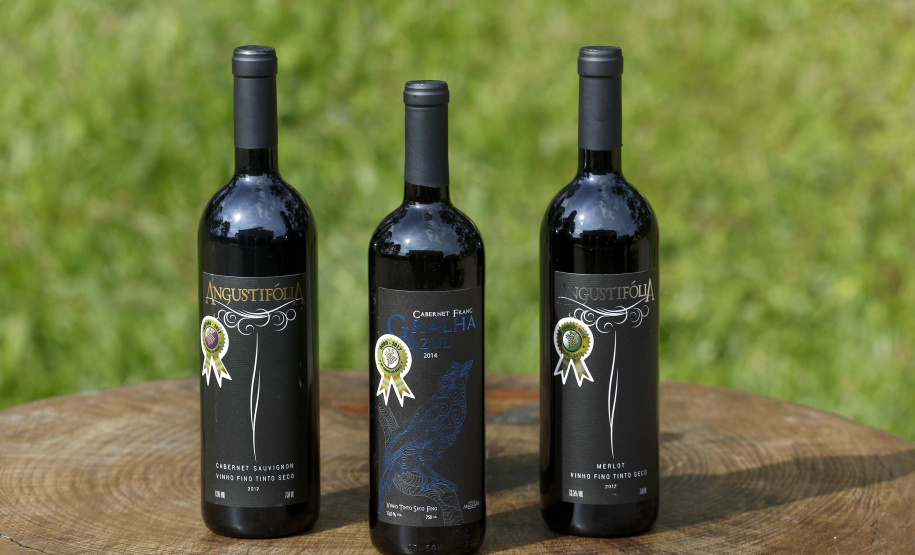 Vinícula Araucária, em São José dos Pinhais.São José dos Pinhais, 26-04-19.Foro: Arnaldo Alves / ANPr.