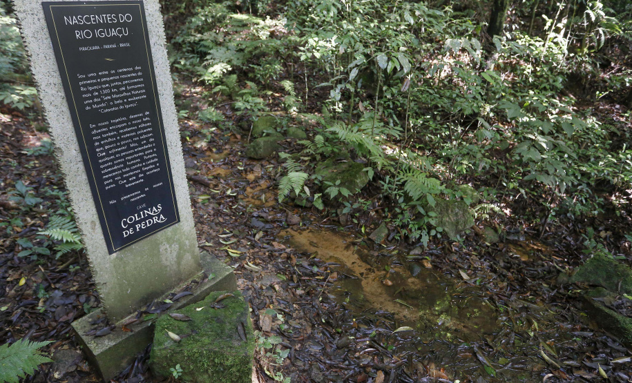 Cave Colinas de Pedra, em Piraquara. Uma das nascentes do Rio Iguaçu, dentro da propriedade.Piraquara, 30-04-19.Foto: Arnaldo Alves / ANPr.